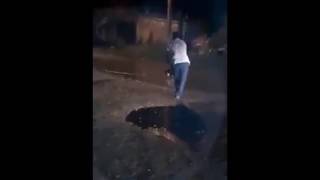 Крокодил напал на собаку, пытающуюся защитить от него мужчину Крокодил напал на собаку, пытающуюся защитить от него мужчину