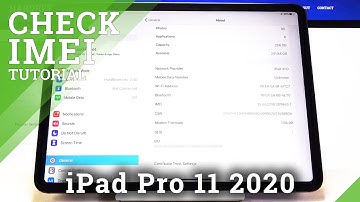 How to Check IMEI / SN in iPad Pro 11 2020 – IMEI Status and Serial Number