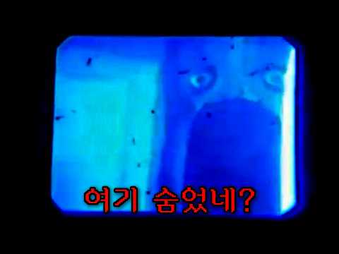 저주받은 섬으로 휴가를 떠난 남자가 마주한 것...  | Malbolge Trench 2편 [아날로그 호러 시리즈]