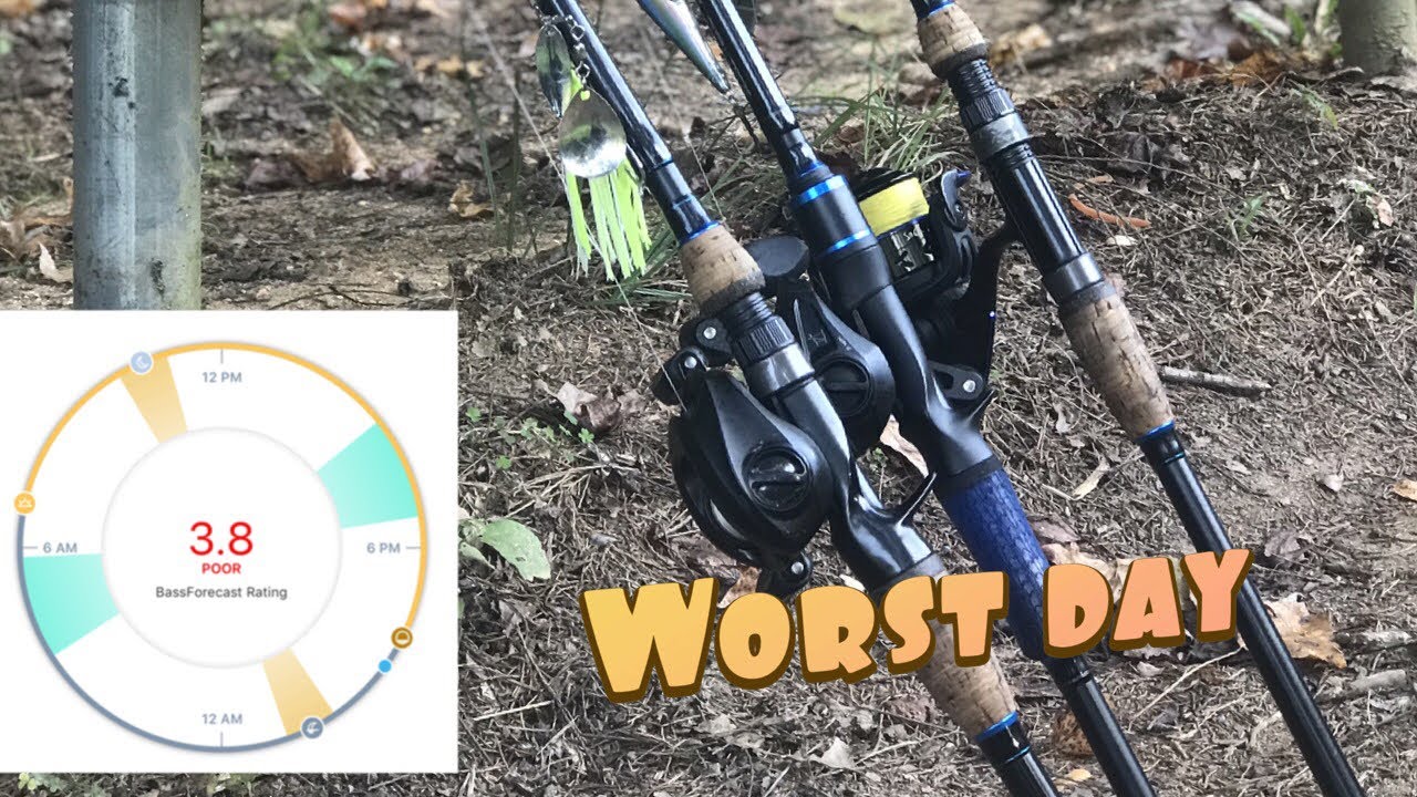 Bass Forecast Poor Day Challenge ( New PB )