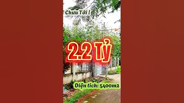 Đất Dầu Tiếng I Cơ hội duy nhất  ! Mua 5400m2 Đất khu dân cư giá ngộp #datdautieng