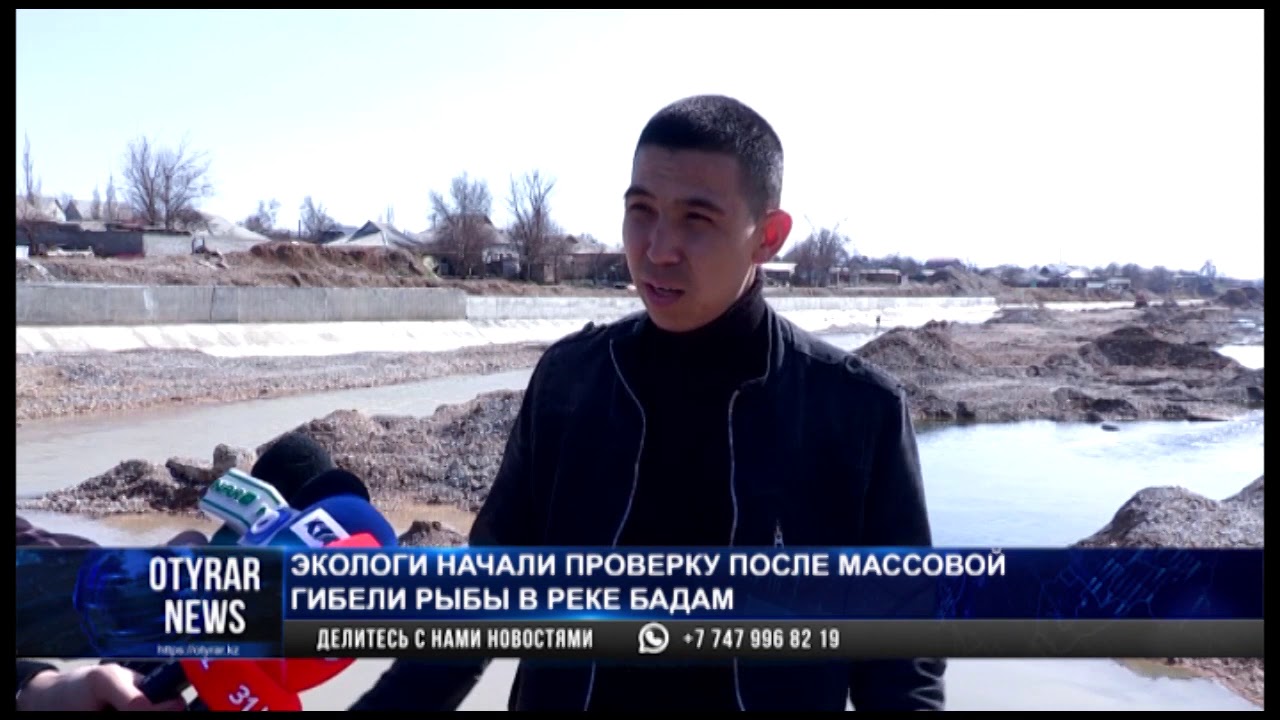 Река бадам в шымкенте Река бадам в шымкенте