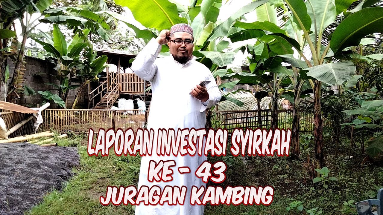 Kerjasama Investasi Syirkah Pengemukan Kambing dan Domba Gelombang 43