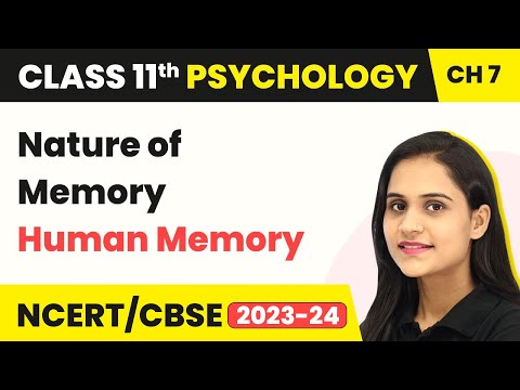 Nature of Memory - Human Memory | Class 11 Psychology Chapter 7