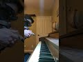 Dog plays piano very good