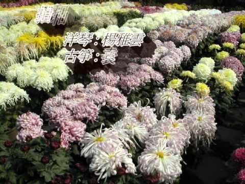 富貴榮華【唯一製作】