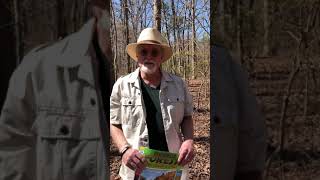 Mr. Cullen temperate forest biome