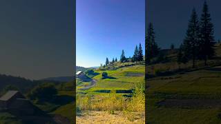 Карпати , українська земля , рідний край 🔥🔥🔥#гори #карпати #mountains #україна #природа #грибы