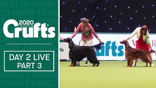 Crufts 2020 Day 2 Live  Part 3
