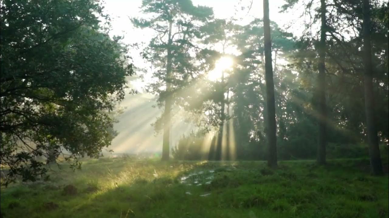 Every Moment I Judah Earl #music #cinematic #rest Every Moment I Judah Earl #music #cinematic #rest