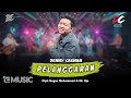 DENNY CAKNAN - PELANGGARAN (OFFICIAL LIVE MUSIC) - DC MUSIK