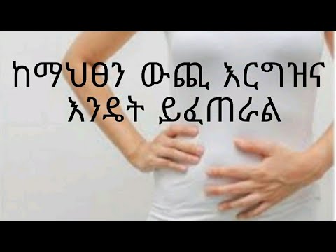 ቪዲዮ: የፅንስ አሳማ urogenital መክፈቻ ምንድነው?