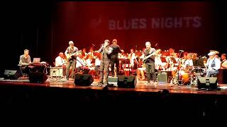 Midnight Club Blues Band - Bluesman Resimi