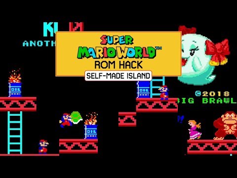 Donkey Kong 3: Another Rise! — Gameplay Video