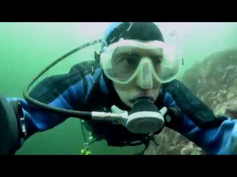 Blood Water: B.C.’s Dirty Salmon Farming Secret | Wild First
