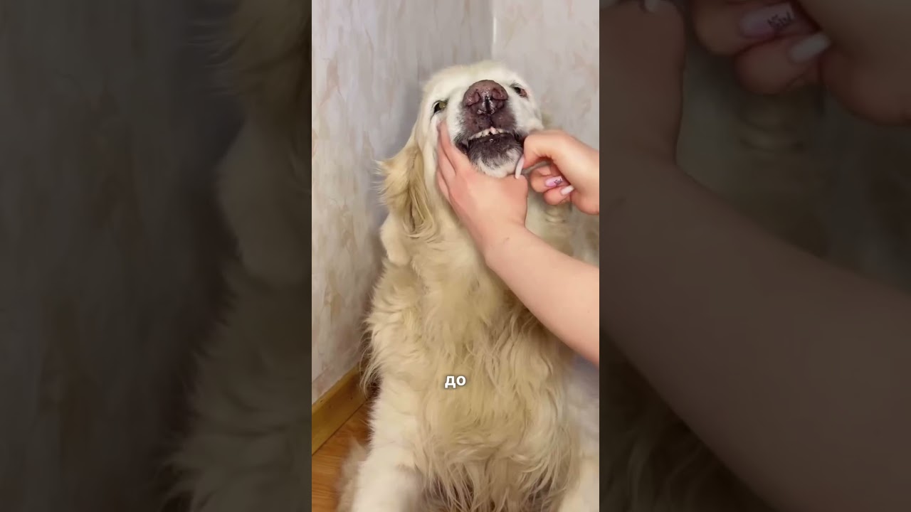 Зубной гель 