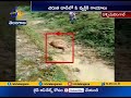 Watch: Injured Leopard Attacks Man After He Tries to Click Photo