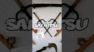 Saijutsu Example #kobudo #weapons #sai #ilpracticalkarate
