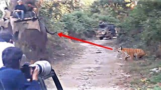 Tiger attack elephant and safari riders in jim corbett national park dhikala!!!!