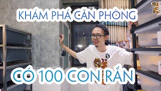 Khám phá căn phòng có 100 con rắn | WILDVN TV