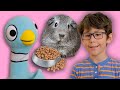 Youtube Thumbnail title
