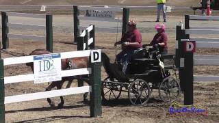 19M Teresa Jump Training Single Horse Marathon Sargent Equestrian CDE August 2014