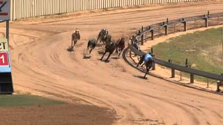 Mt-Gambier-05022016-Race-5