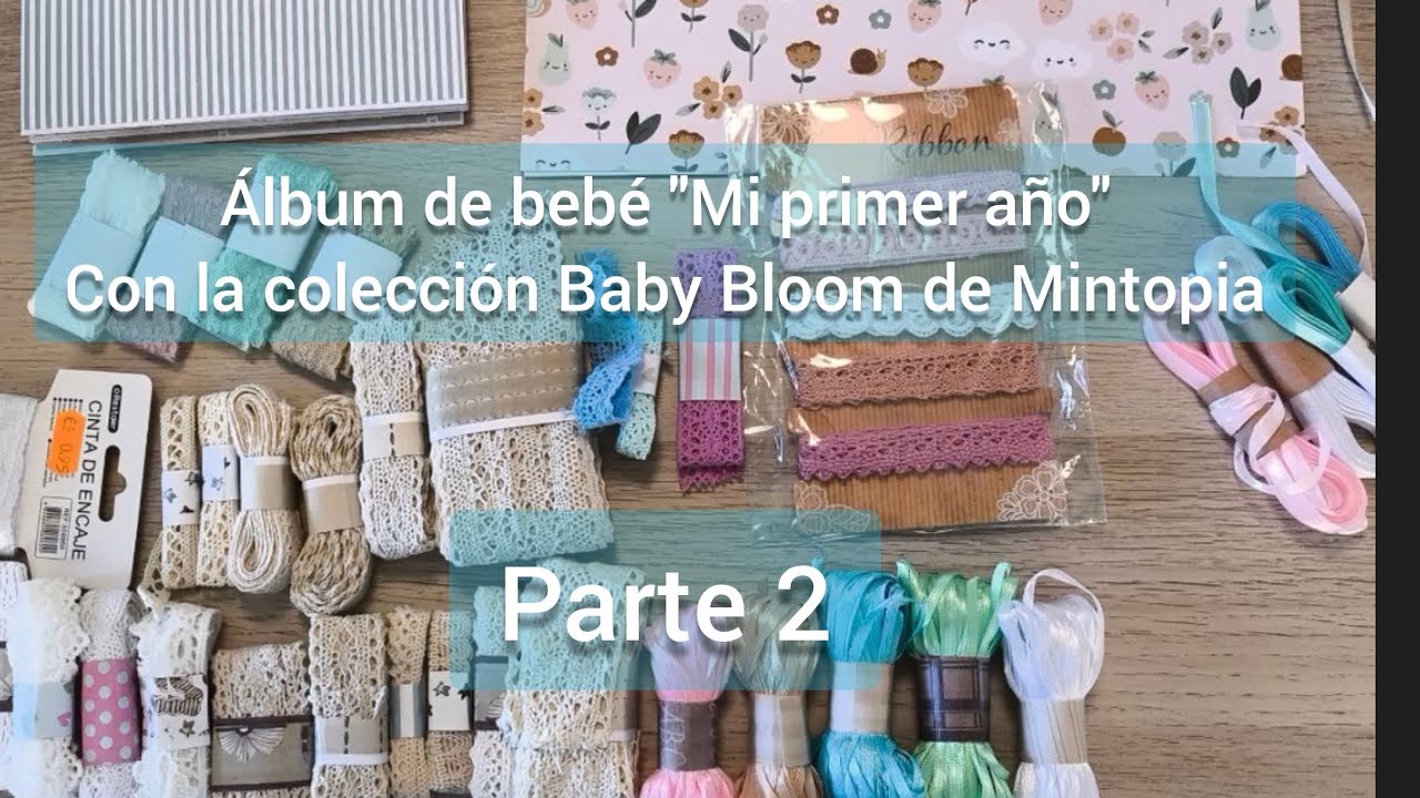 Parte 2 - Álbum de bebé 