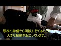 腕と肩の共振解放