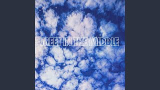 Meet in the Middle