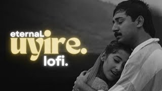Uyire Uyire Lofi | Tamil Lofi | A.R Rahman | Bombay | Sid Sriram | eternaL