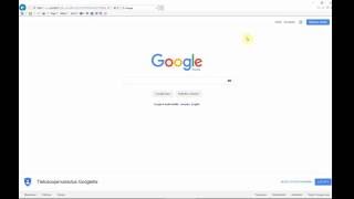 How to  Enable software rendering (Internet Explorer)