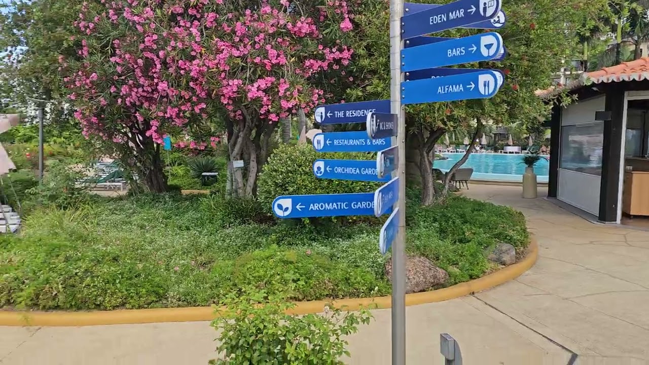Eden Mar Hotel - Funchal - Flowers