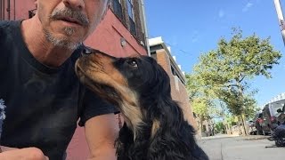 First Training Session with Service Dog