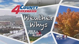 Meteorologist Jackson Chastain talks about Hail this week in Weather Whys.