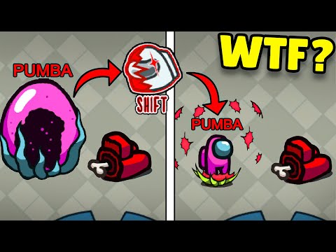 1000 IQ Transformation