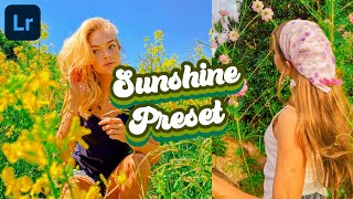 Sunshine Preset | Free Lightroom Preset Gratis | Lightroom Mobile Preset Free Dng | Vivid Preset screenshot 4