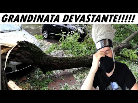 Wideo: Modna Autostrada