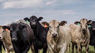 Iowa Secretary of Agriculture rolls out state-level Farm Bill proposal aimed to boost industry
