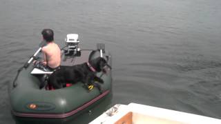 A day at Tashmoo