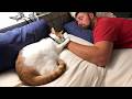 These Cats Couldn’t Sleep Without Their Beloved Human 🥰