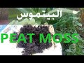 البيتموس||المميزات والعيوب#الزراعة المنزلية|Peat moss