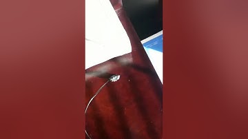 How To Set Up TurtleBeach x11 headphones for Xbox360