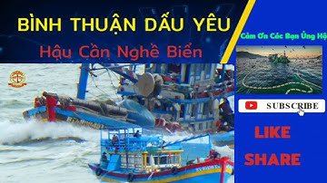 🔴 Ghe Lưới Bao Tường Vy về Cửa Cảng Lagi | Bình Thuận Dấu Yêu