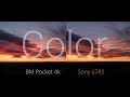 Comparing Colors BMPCC4k vs Sony A7Riii