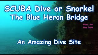SCUBA Diving East Side Blue Heron Bridge USA Shore Dive