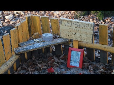 UTV. Кошек и собак хоронят в парках. Когда в Уфе появится кладбище домашних животных