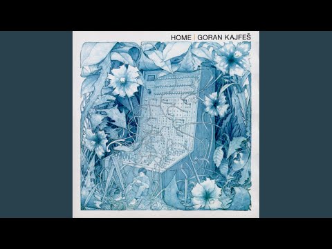 Goran Kajfes — Life Insurance