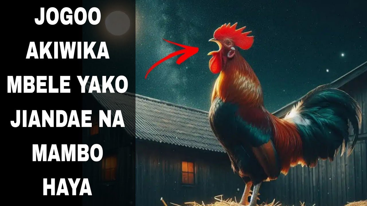 JOGOO AKIWIKA MBELE YAKO JIANDAE NA MAMBO HAYA 10 HARAKA