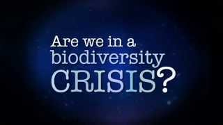 Are We in a Diversity Crisis? | SciTech Now